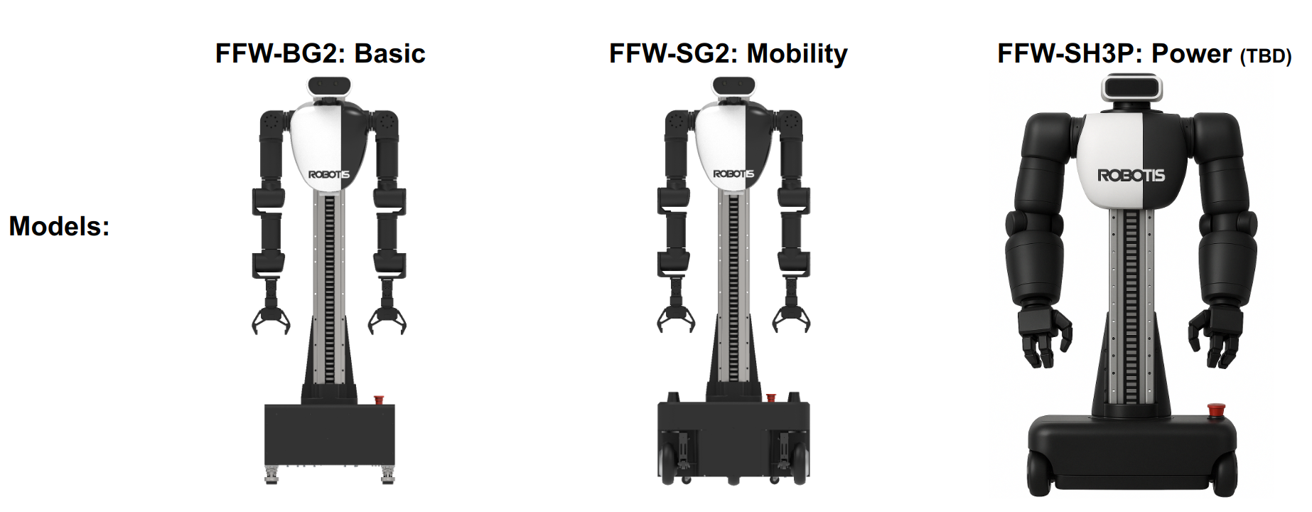 model_lineup