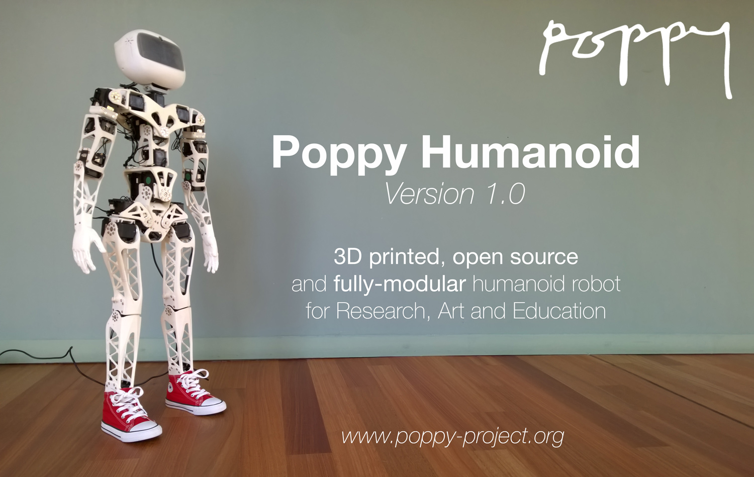 Poppy Humanoid project image